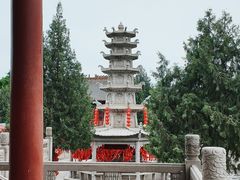 -大槐树寻根祭祖园