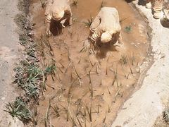 -中国农业博物馆