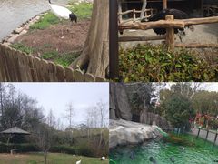 -上海野生动物园