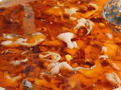 -渝乡辣婆婆·川菜 水煮鱼(安平店)