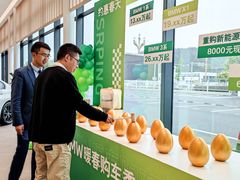 -南充通源宝马4S店(高坪店)