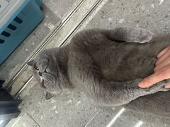 -网鱼网咖·电竞(南开百脑汇店)