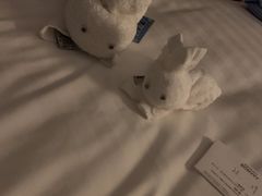 -上海雅居乐万豪侯爵酒店