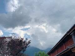 -阿鹏故事云南野生菌火锅(人民路店)