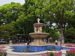 -上海鲜花港
