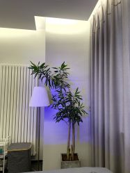 -来美轻医美抗衰中心