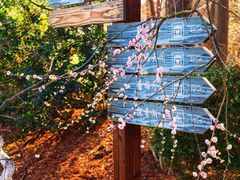 -上海海湾国家森林公园