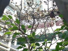 -乐凯撒披萨(喜荟城店)