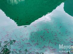 -靖西鹅泉风景区