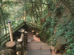 -綦江古剑山
