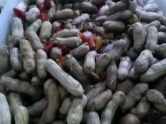 花生-李三海鲜火吧