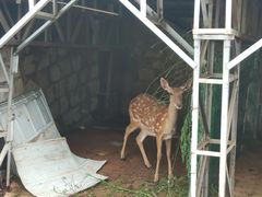 -丽泽山庄·生态怀柔菜·虹鳟鱼(红螺寺店)