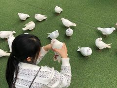 -成都欢乐谷