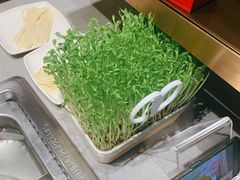 -海底捞火锅(城阳万象汇店)