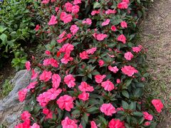 -人民公园(罗湖区)