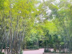 -晓港公园