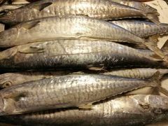 -钱大妈海鲜饭店(保利林语店)