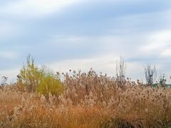 -狼山风景名胜区