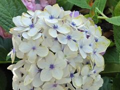 -常州古运河南大街文化旅游区-人民公园