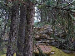 -阿萨巴斯卡瀑布观景点