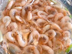 -呼吸森林·生态农庄农家乐私房菜