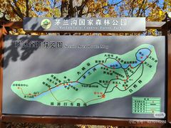 -茅兰沟国家森林公园