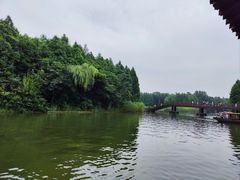 -溱湖国家湿地公园