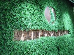 -变美丽半永久纹眉连锁·机器野生眉•洗眉