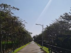 -亚龙湾国际玫瑰谷