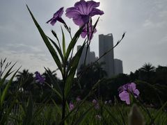 -文华公园(禅城区)