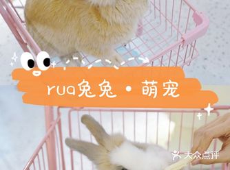 就很离谱超级萌的兔兔体验馆