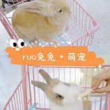 就很离谱[糖果]超级萌的兔兔体验馆