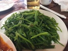 炒海菜-苍洱春饭店