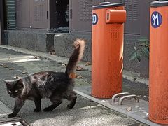 -江南水师学堂遗迹