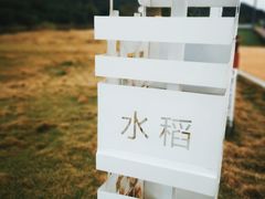 -艾米稻香小镇