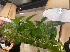 -胡家大厨(西三庄店)