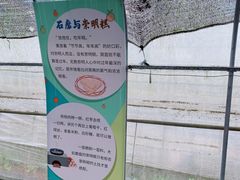 -前小桔亲子创意农场·草莓采摘·露营烧烤