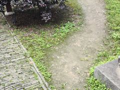 -常熟方塔园