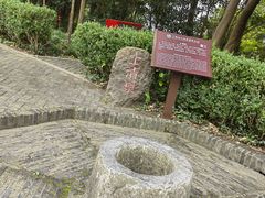 -上海佘山国家森林公园天马山园