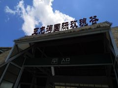 -亚龙湾国际玫瑰谷