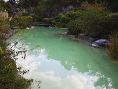 -吴淞炮台湾湿地森林公园烧烤区