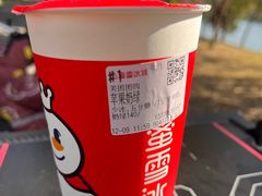 -蜜雪冰城(托乐嘉店)