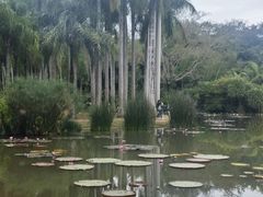 -中国科学院西双版纳热带植物园