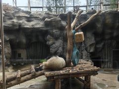-秦皇岛野生动物园