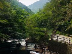 -湖州龙王山景区