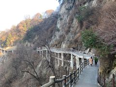 -少华山国家森林公园
