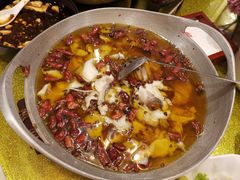 沸腾水煮鱼-大鸭梨烤鸭(左家庄店)