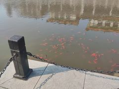 -荆州博物馆