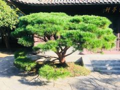 -团城山公园