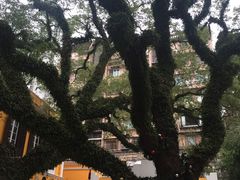 -ALBERGUE 1601 婆仔屋葡国餐厅